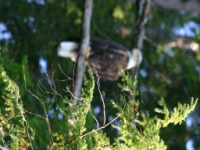 img_5059.jpg